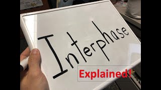 Interphase explained [upl. by Surazal362]