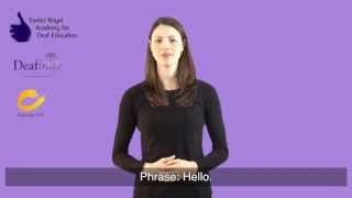 Learn Basic Greetings in British Sign Language BSL [upl. by Nonrev155]