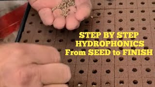 Hydroponic Seed to Finish STEP BY STEP [upl. by Aniez]