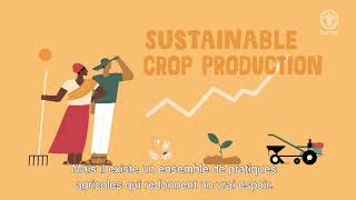 L’agriculture durable est possible [upl. by Einnus]