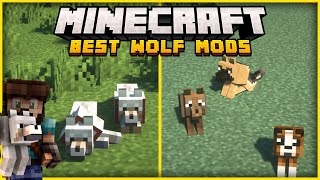 10 Great Minecraft Mods that Change Wolves [upl. by Mahala933]