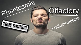 Phantosmia True Facts About Olfactory Hallucinations [upl. by Niu888]