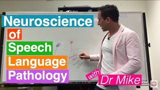 Neuroscience of Speech Language Pathology SLP [upl. by Bautista]