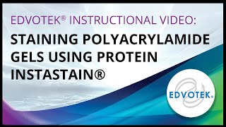 Staining Polyacrylamide Gels using Protein Instastain [upl. by Kee637]