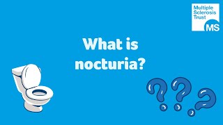 What is nocturia [upl. by Harding]