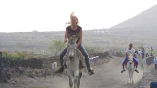 Carrera de Burros 081016 [upl. by Olvan791]