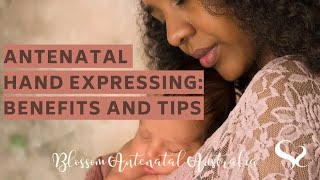 Antenatal Hand Expressing Benefits and Tips [upl. by Xam]