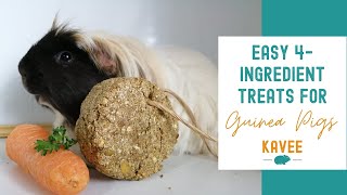 Easiest Homemade Guinea Pig Treats  only 4 Ingredients [upl. by Ettennan]