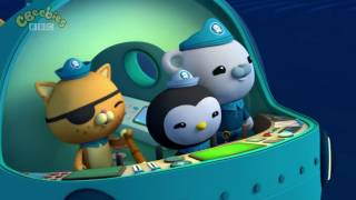 Octonauts The Humphead Parrotfish [upl. by Maxia]