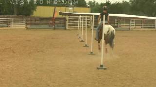 Equestrian Gymkhana Speed and Skill Events [upl. by Gerri]