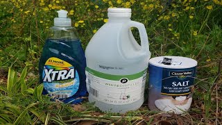 Natural Homemade Weed Killer Recipe Tested by Lawn Care Pro [upl. by Ayanet]