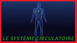 Le système circulatoire [upl. by Hitchcock]