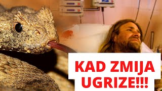 Ugriz smrtonosne zmije Kako je prošlo [upl. by Traggat]