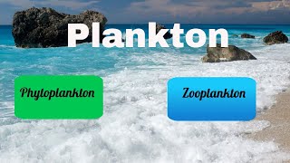 Difference between Zooplankton and Phytoplankton [upl. by Yrrac]