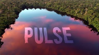 Rising Appalachia  Dirtwire  Pulse Official Video [upl. by Refeinnej]