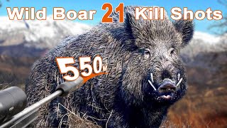 Wild Boar Hunting Shots Compilation  Compilation de tir au Sanglier 2023 [upl. by Atiuqihs]