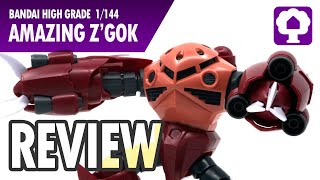 HGBF 1144 Amazing ZGok Review  Hobby Clubhouse  Gundam Build Fighters Zeon Gunpla amp Model [upl. by Mela]