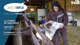 Mode d’emploi  les métiers de lagriculture [upl. by Isyad]