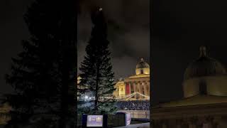 Trafalgar Squares Christmas Tree lighting 🎄 london christmas [upl. by Quenby847]