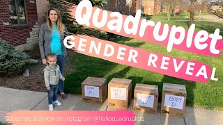 Quadruplet gender reveal [upl. by Beeck]