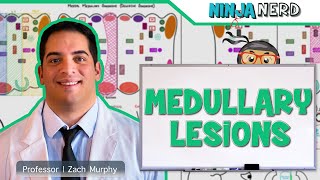 Medullary Lesions Medial and Lateral Medullary Syndromes [upl. by Ignacio]