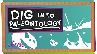 Dig In To Paleontology [upl. by Eduj919]