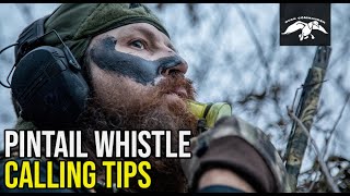 Pintail Whistle  Duck Calling Tips [upl. by Botsford]