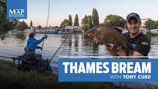 Thames Bream with Tony Curd [upl. by Besse]