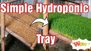 Simple Homemade Hydroponic Fodder Tray Making [upl. by Anirbes662]