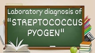 Streptococcus pyogen laboratory diagnosis [upl. by Canning978]