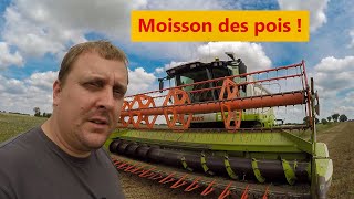 Moisson des pois  2021 [upl. by Hsac]