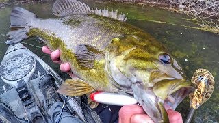 Topwater Fishing Giant Fall Smallmouth [upl. by Eelrahc]