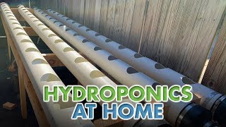 Hydroponics at Home [upl. by Irihs]