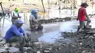 Sidoarjo mud flow LAPINDO [upl. by Dirgis299]