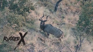 63” Greater Kudu Hunt [upl. by Aimek]