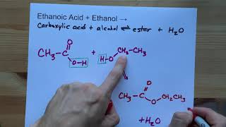 Ethanoic Acid  Ethanol   Ester Reaction [upl. by Marucci]