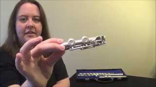 Flute Lesson 11 Assembly and hand placement [upl. by Tollman]