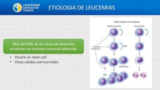 DH Generalidades y clasificación de neoplasias hematológicas [upl. by Suoivatra613]