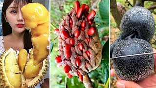 10 Frutas Exóticas Mais RARAS e INCRÍVEIS do Mundo  Parte 1  Exotic Fruits of the World [upl. by Buderus]