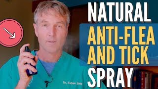 Natural Flea and Tick Spray for Dogs [upl. by Eissirhc]