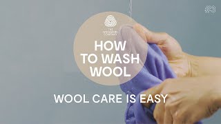 How to Hand Wash a Wool Sweater [upl. by Aneba]