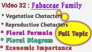 FABACEAE Family Description  Floral Formula Floral Diagram amp Economic Importance of Papilionoidae [upl. by Vories596]