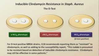 Antibiotic Resistance Antibiotics  Lecture 9 [upl. by Llertnod574]