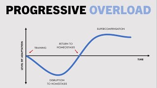 How to Progress Hypertrophy Training  Part 1 Progressive Overload [upl. by Lamrej]