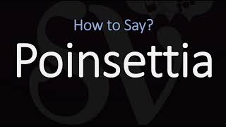 How to Pronounce Poinsettia CORRECTLY [upl. by Collen]