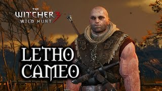 The Witcher 3 Wild Hunt  Letho Cameo Ghosts of the Past Quest [upl. by Jenilee]