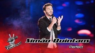 Simão Quintans  quotPerfectquot  Gala  The Voice Portugal [upl. by Bathsheb]