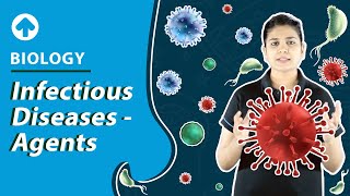 Infectious Diseases  Agents  Biology [upl. by Cinomod]