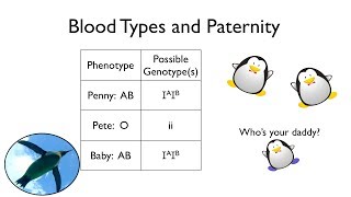 Blood Types and Paternity [upl. by Eylk781]