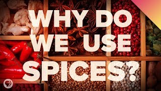 The Surprising Reason We Eat Spicy Food [upl. by Sessylu]